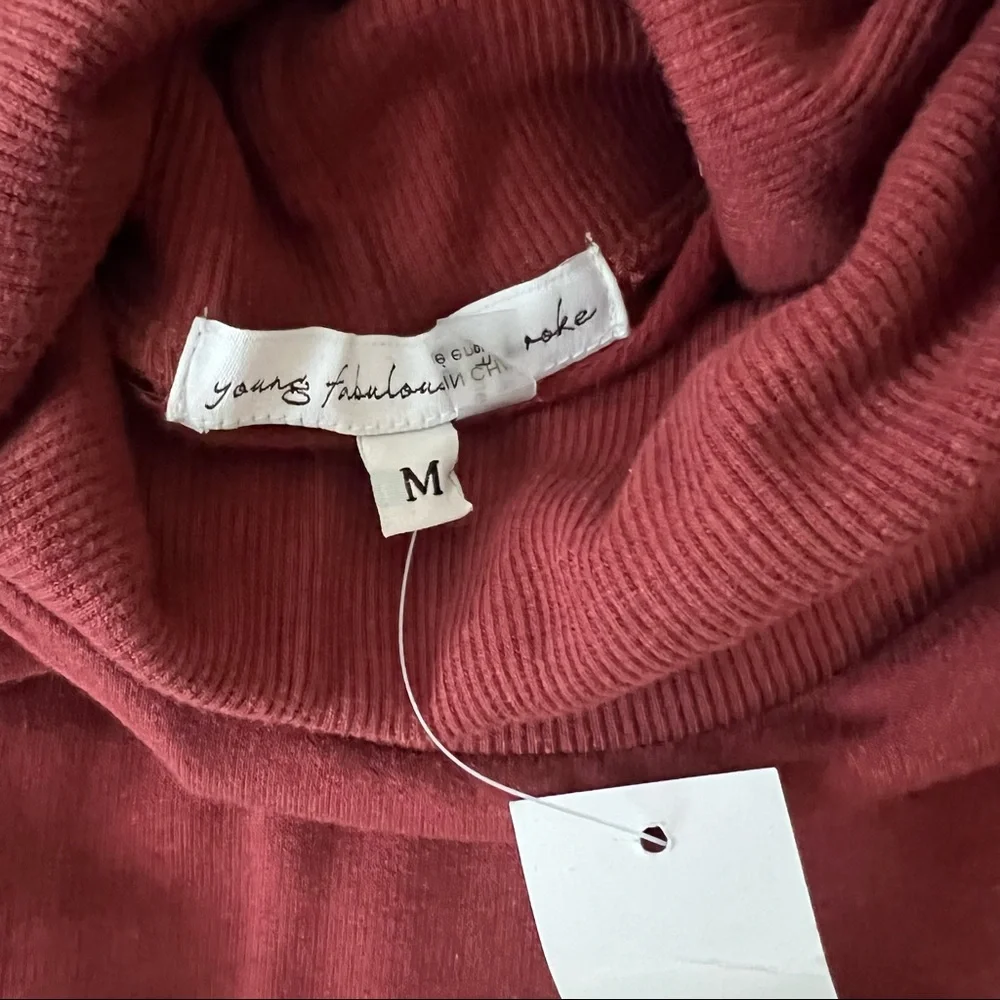 Young Fabulous & Broke NWT Turtleneck Mini Dress - Picture 8 of 14